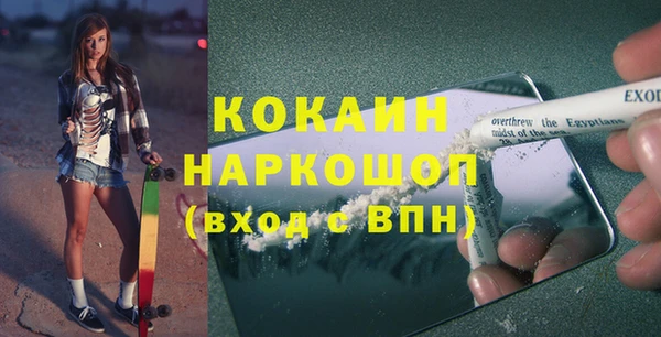 гидра Рославль
