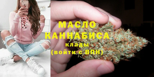 гидра Рославль