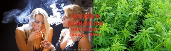 гидра Рославль