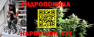 кокс Заводоуковск